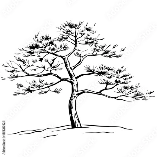Fototapeta Stylized bonsai tree in black and white sketch