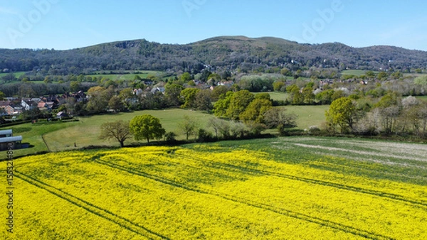 Fototapeta An aerial view of yellow rapeseed field in spring. With hills and countryside in the background. Malvern Hills, UK
