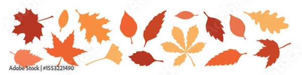 Obraz Set of autumn multicolored colorful leaf silhouettes.