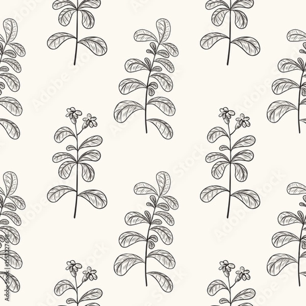 Obraz Stevia engraved plant on seamless pattern. Floral repeating background with freshness herbs, sugar leafs. Botanical doodle for textile, wrapping, paper. Food sweetener. Hand drawn vector illustration