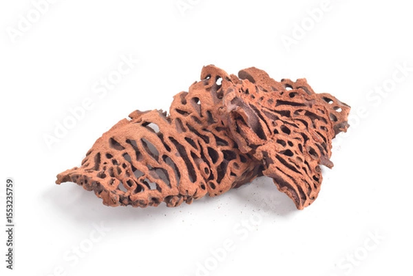 Obraz Ant Nest (Myrmecodia pendans), a traditional medicinal plant with porous, woody structure, isolated on white background.