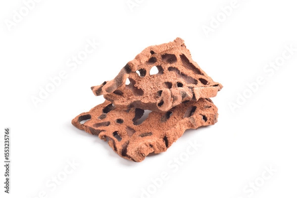 Obraz Ant Nest (Myrmecodia pendans), a traditional medicinal plant with porous, woody structure, isolated on white background.