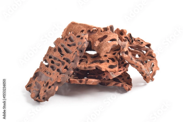 Obraz Ant Nest (Myrmecodia pendans), a traditional medicinal plant with porous, woody structure, isolated on white background.