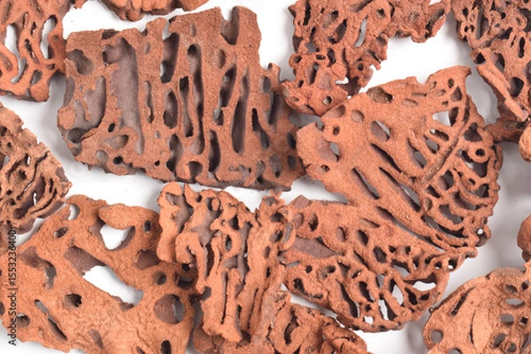 Obraz Close-up of Ant Nest (Myrmecodia pendans), a traditional medicinal plant with porous, woody structure