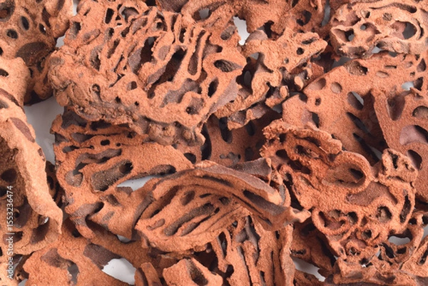 Obraz Close-up of Ant Nest (Myrmecodia pendans), a traditional medicinal plant with porous, woody structure