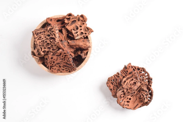 Obraz Ant Nest (Myrmecodia pendans), a traditional medicinal plant with porous, woody structure, isolated on white background.