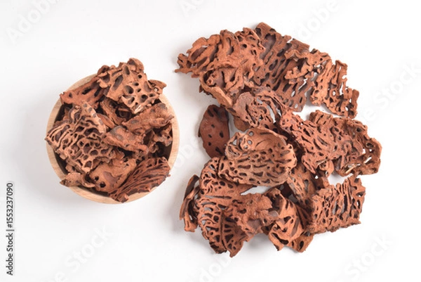 Obraz Ant Nest (Myrmecodia pendans), a traditional medicinal plant with porous, woody structure, isolated on white background.