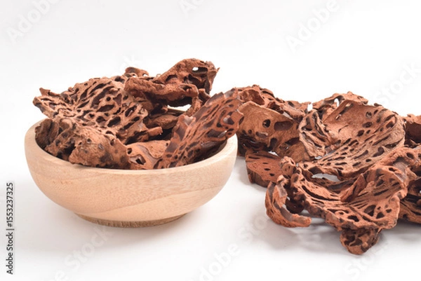 Obraz Ant Nest (Myrmecodia pendans), a traditional medicinal plant with porous, woody structure, isolated on white background.