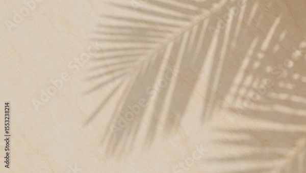 Obraz Palm leaf shadows on textured beige surface with subtle light patterns cast