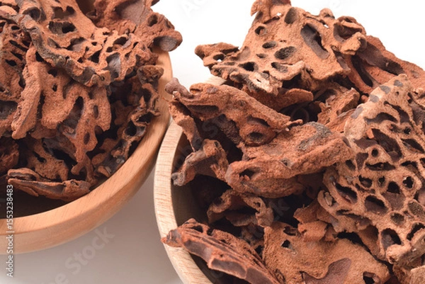 Obraz Close-up of Ant Nest (Myrmecodia pendans), a traditional medicinal plant with porous, woody structure, isolated on white background.