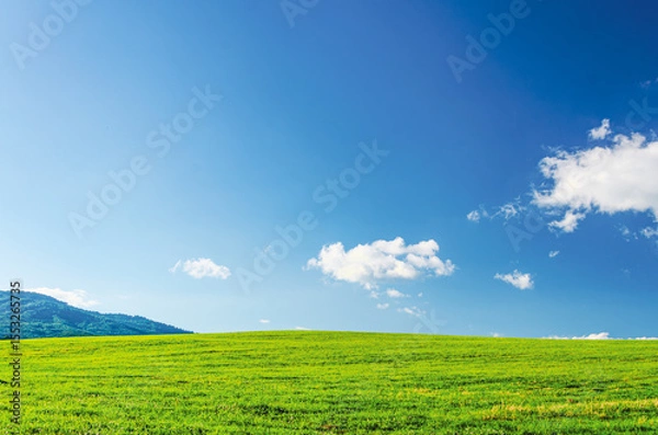 Fototapeta A large, open field with a blue sky. There are no clouds in the sky. The grass is green and the field is very large