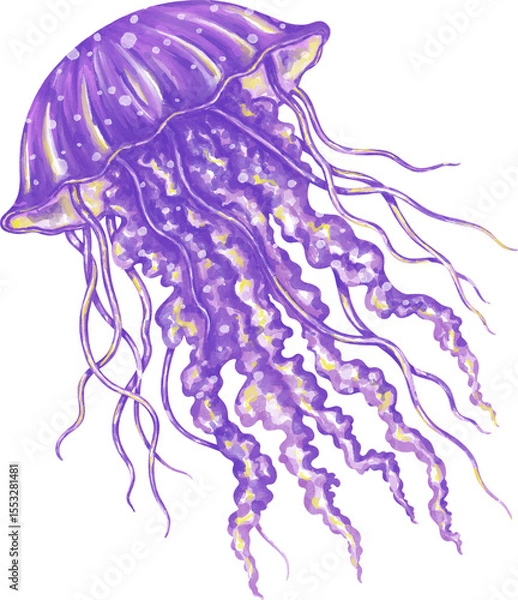 Obraz Watercolor jellyfish graphic illustration, which can be used in many forms such as scrapbook, postcards, stickers, teaching media, digital printing and many more.