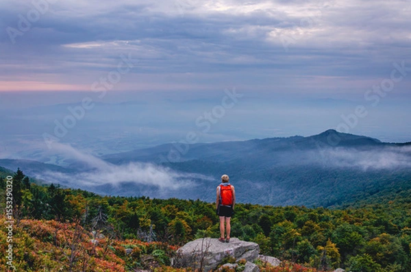 Fototapeta A person is standing on a rock in a forest. The person is wearing a backpack. The sky is cloudy and the sun is setting