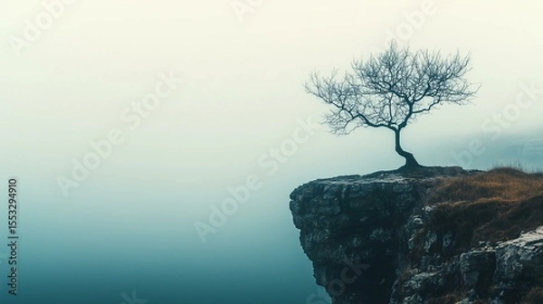 Fototapeta Solitary Tree on a Cliff Edge in Foggy Morning Light