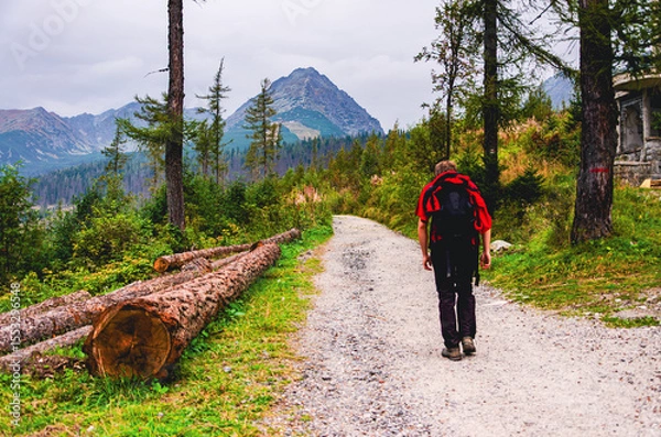Fototapeta A man is walking on a dirt road with a backpack. The road is surrounded by trees and there is a large log on the side of the road