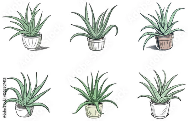 Obraz Aloe Vera in Pot Vector Designs Set Flat Minimal Succulent Illustrations for Digital and Print