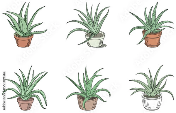 Obraz Aloe Vera in Pot Vector Designs Set Minimal Flat Succulent Illustrations for Crafts and Digital Use