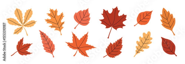 Obraz Set of colorful autumn leaves. Botanical floral illustration. 