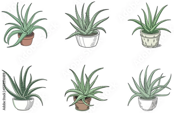 Obraz Aloe Vera in Pot Vector Designs Set Minimal Flat Succulent Illustrations for Crafts and Decor