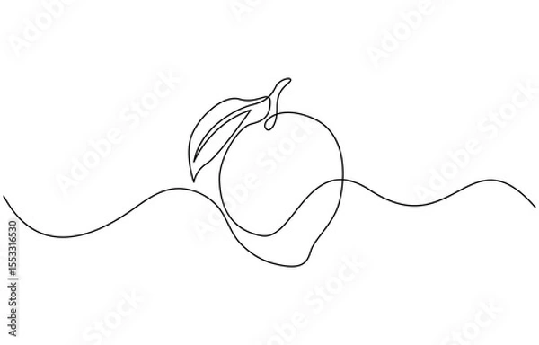 Fototapeta Continuous one line drawing of mango. Doodle vector illustration, Mango fruit hand drawn single line art Mango fruit hand drawn single line art.