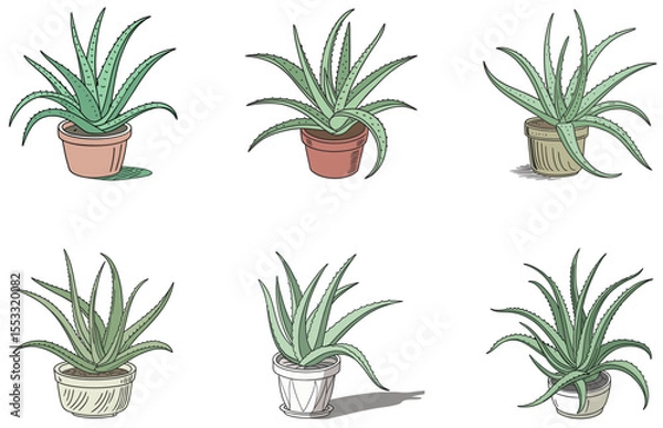 Obraz Aloe Vera in Pot Vector Designs Set Minimal Flat Succulent Illustrations for Crafts and Decor