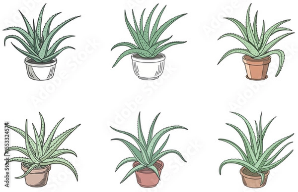 Obraz Aloe Vera in Pot Vector Designs Set Minimal Flat Succulent Illustrations for Crafts and Digital Use