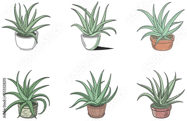 Obraz Aloe Vera in Pot Vector Designs Set Minimal Flat Succulent Clipart for Digital and Print