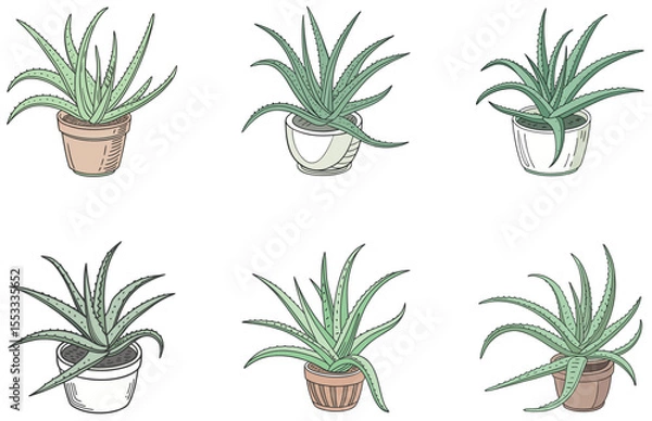 Obraz Aloe Vera in Pot Vector Designs Set Flat Minimal Succulent Illustrations for Crafts and Decor