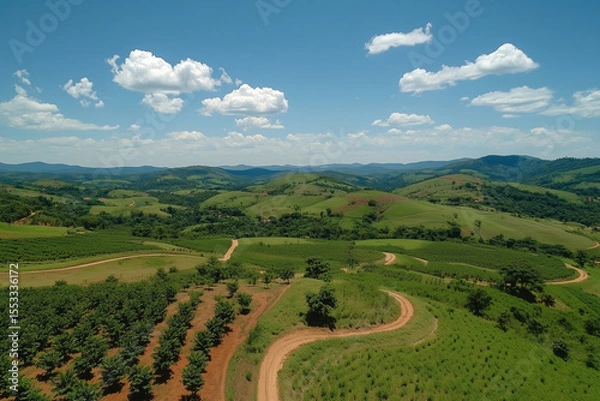 Fototapeta Rolling green hills with winding dirt roads, scattered trees, and a bright blue sky with fluffy clouds in a rural landscape.