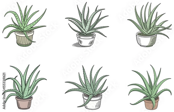 Obraz Aloe Vera in Pot Vector Designs Set Flat Minimal Succulent Illustrations for Print and Digital
