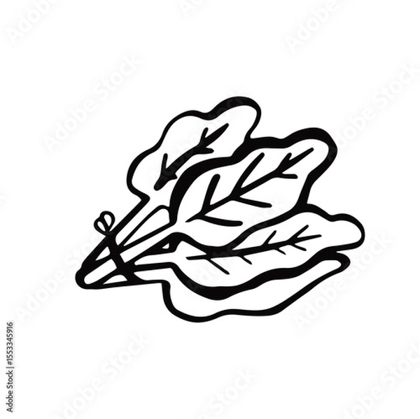 Fototapeta spinach arugula line symbol simple monochrome vector