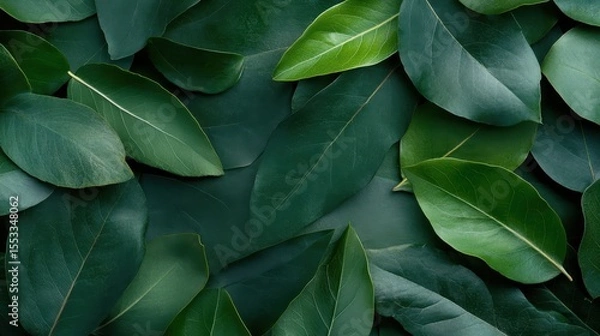 Fototapeta A vibrant collection of green leaves showcasing the beauty of nature, symbolizing life, freshness, and the organic harmonies found in a thriving environment.