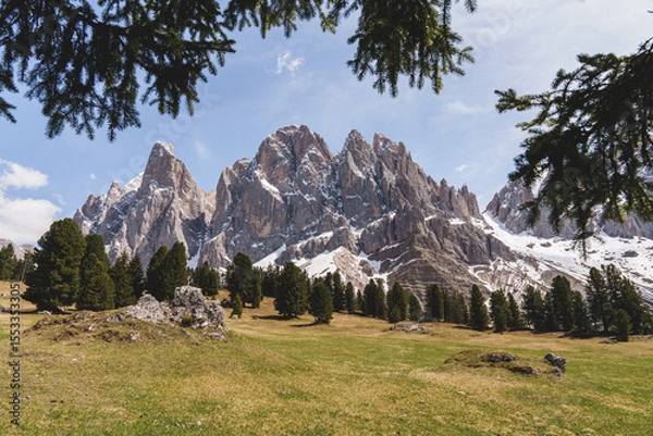 Fototapeta Snowy Sass Rigais and Furchetta peaks framed by trees in alpine meadow in the Dolomites, Italy.