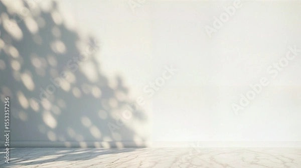 Obraz Minimal abstract light gray background for product presentation. Soft shadow and light from windows on white wall.