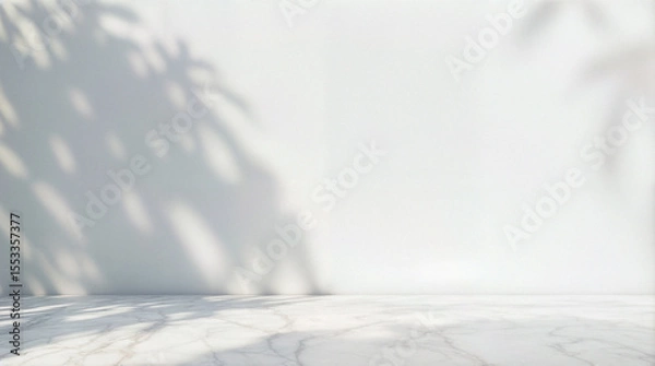 Obraz Minimal abstract light gray background for product presentation. Soft shadow and light from windows on white wall.
