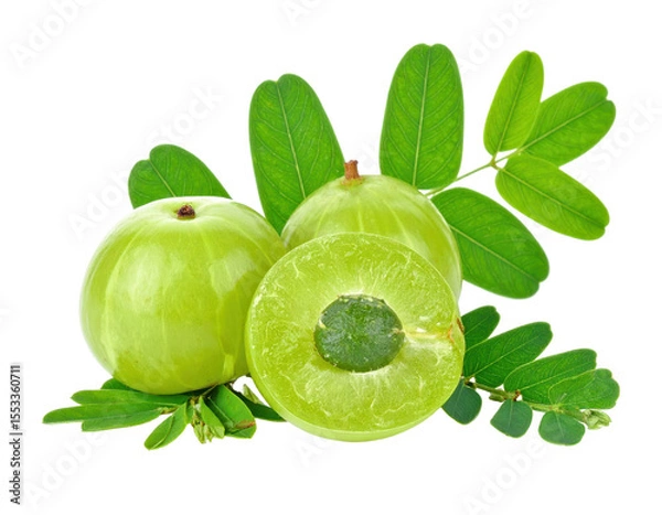 Fototapeta Vibrant Green Amla Fruits and Leafy Sprigs Isolated on Transparent Background Displaying Natural Details