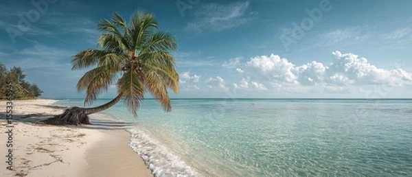 Fototapeta Tropical beach with leaning palm under serene sky and turquoise water for exotic travel banner