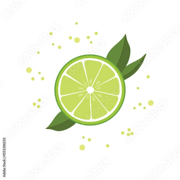 Obraz Fresh lime fruit on white background

