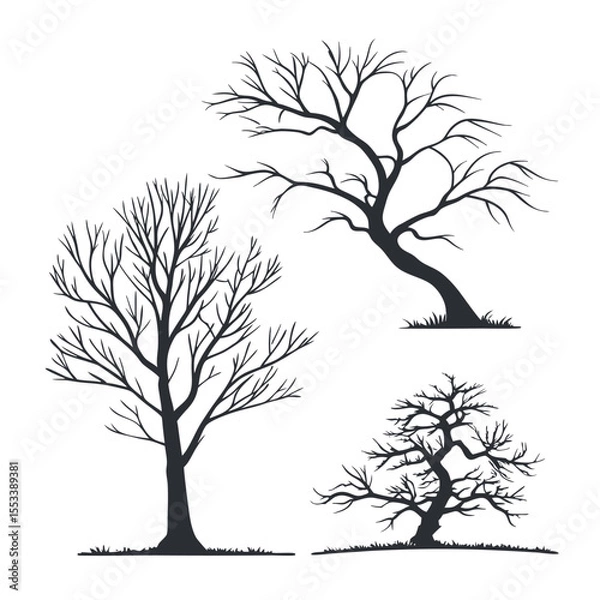 Fototapeta -set-of-bare-tree-silhouettes---clean-black-vector eps