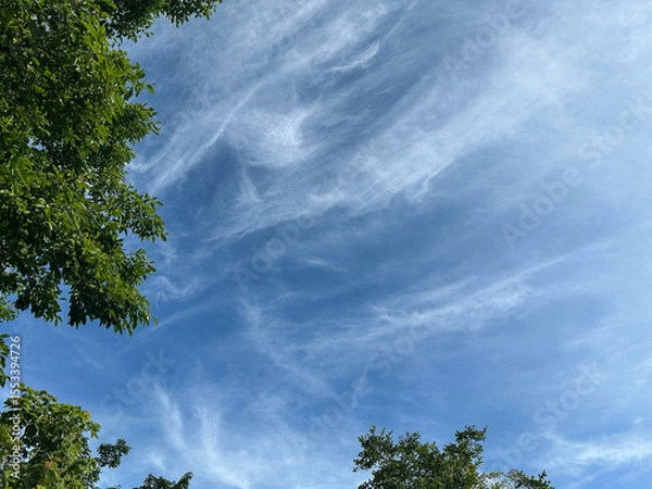 Fototapeta Cirrus clouds are high, cold clouds composed of asymmetric ice particles.