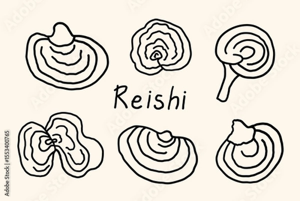 Obraz Set with Polypore varnished (Lingzhi ) Reishi mushrooms sketch on isolated background. Medical woody Chinese natural ingredient for alternative medicine, tea, cosmetics, spa. Design for logo, sign