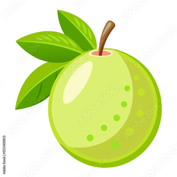Obraz Guava  white background