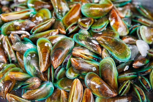 Obraz Fresh green mussels with shiny shells and ice cubes on wet seafood market table