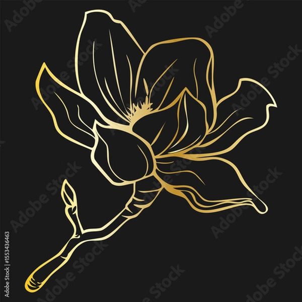 Fototapeta A finely detailed gold line drawing of a magnolia flower on black background. Vintage botanical design perfect for floral design, invitations and nature-themed decor