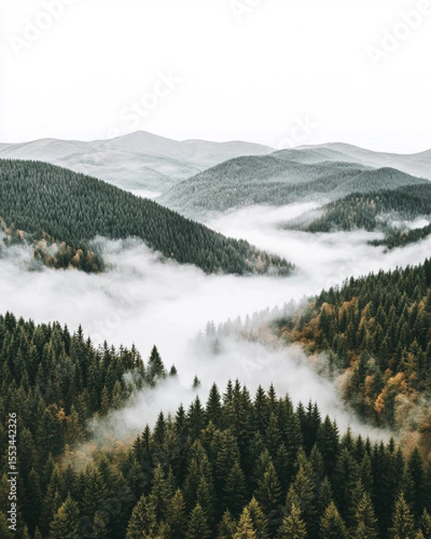 Obraz Misty Valley Landscape: Green Hills Enveloped in Fog