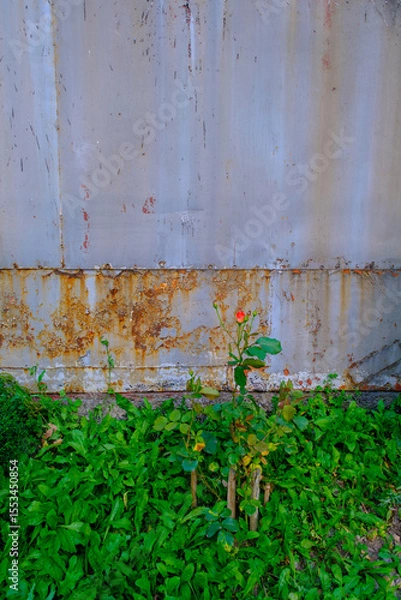 Obraz old rusty wall