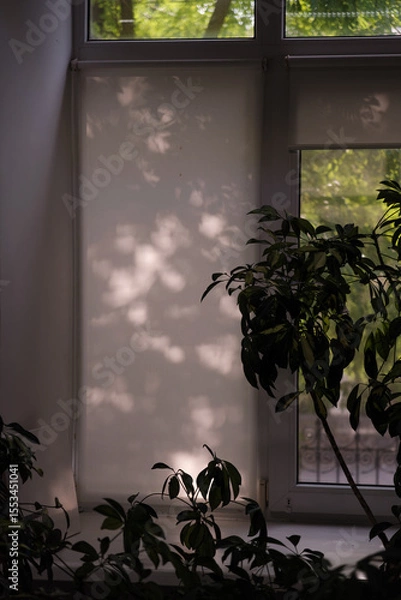 Obraz window in the garden