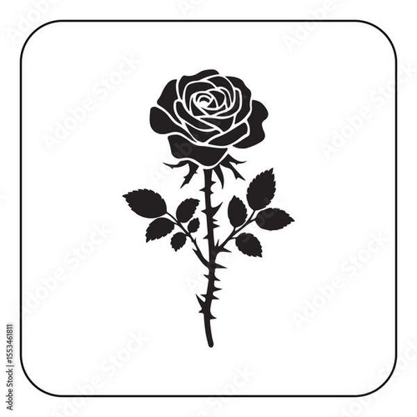 Obraz Single rose illustration simple and romantic floral artwork