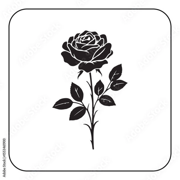Obraz Single rose illustration simple and romantic floral artwork