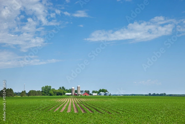 Obraz Farm and soybean field in north central Minnesota during the late spring